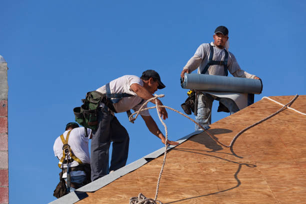 Best Roof Maintenance Services  in Montalvin Manor, CA