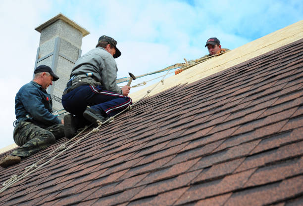 Best Roof Repair Services  in Montalvin Manor, CA